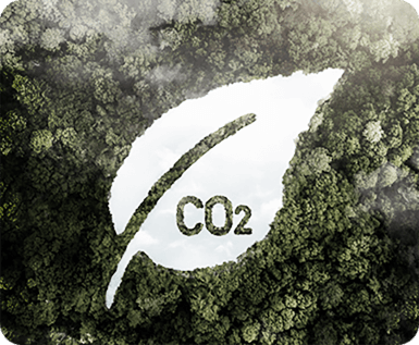 Carbon Emissions Reduction Projects Development